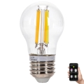 Ampoule à intensité variable LED FILAMENT MESH Smart G45 E27/4,5W/230V 2700-6500K - Aigostar