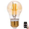 Ampoule à intensité variable LED FILAMENT MESH Smart G45 E27/4,5W/230V 2700-6500K - Aigostar
