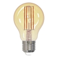 Ampoule à intensité variable LED FILAMENT VINTAGE A60 E27/12W/230V 2000K