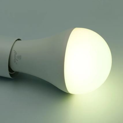 Ampoule à intensité variable LED RGBW A60 E27/15W/230V 2700-6500K Wi-Fi Tuya