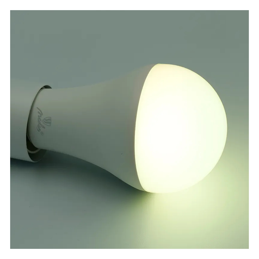Ampoule à intensité variable LED RGBW A60 E27/15W/230V 2700-6500K Wi-Fi Tuya