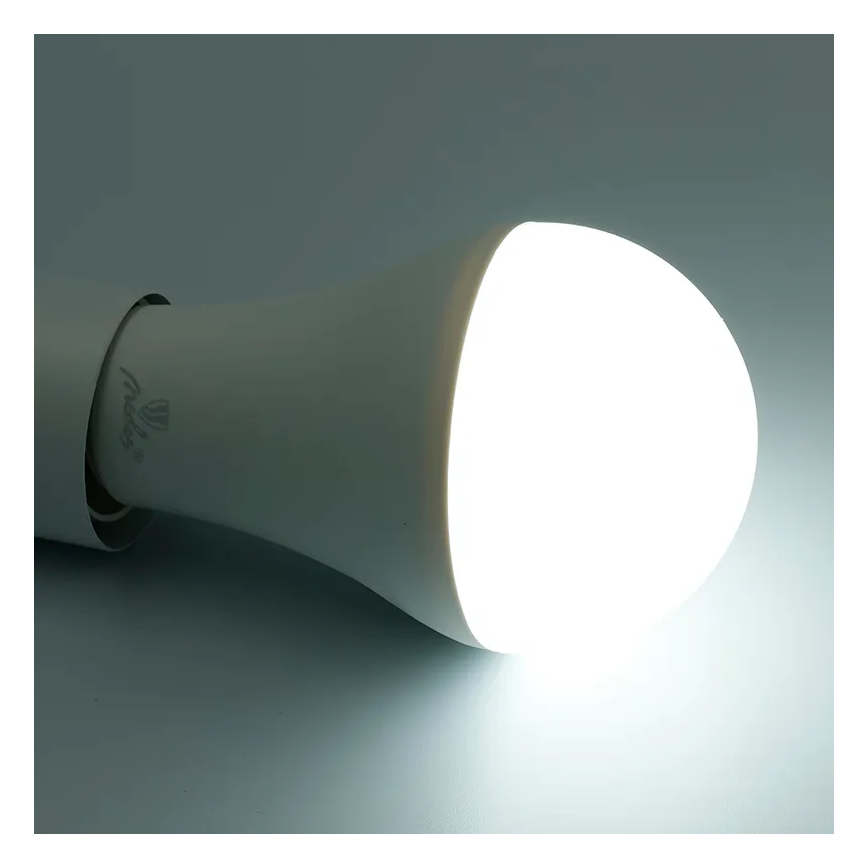 Ampoule à intensité variable LED RGBW A60 E27/15W/230V 2700-6500K Wi-Fi Tuya