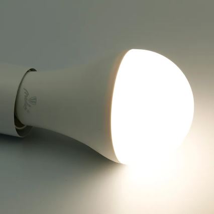 Ampoule à intensité variable LED RGBW A60 E27/15W/230V 2700-6500K Wi-Fi Tuya