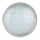 Ampoule de piscine LED/25W/12V IP68 6500K