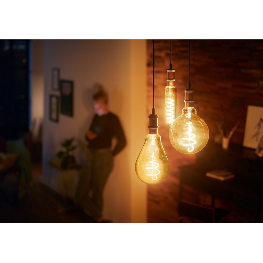 Ampoule dimmable LED VINTAGE Philips A160 E27/6,5W/230V 2000K