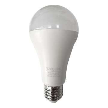 Ampoule LED A65 E27/18W/230V 4200K
