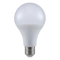 Ampoule LED A80 E27/20W/230V 4000K