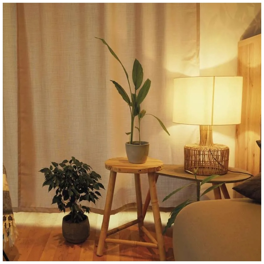 Ampoule LED dimmable A60 E27/10,5W/230V 2700K