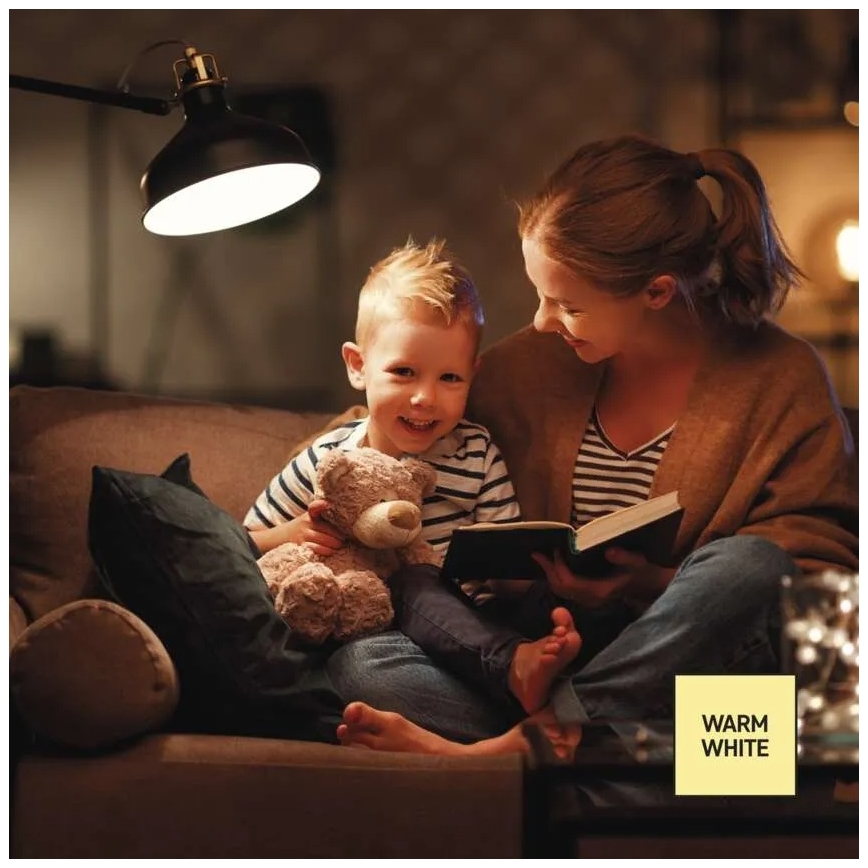 Ampoule LED dimmable A60 E27/10,5W/230V 2700K