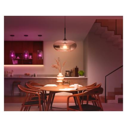 Ampoule LED dimmable Philips Hue WHITE AND COLOR AMBIANCE E27/11,8W/230V 1000-20000K