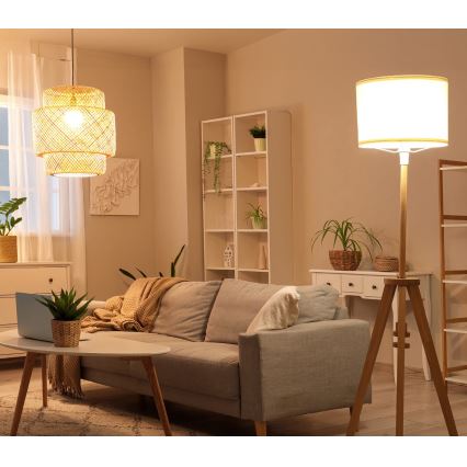 Ampoule LED E27/8,5W/230V 3000K