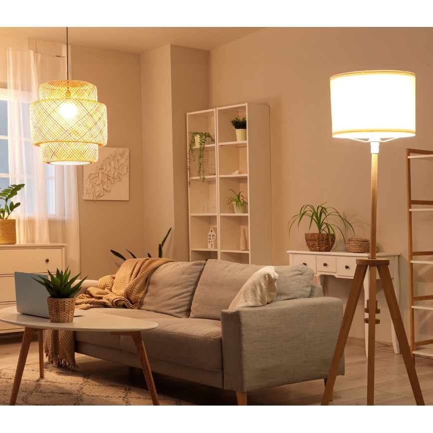 Ampoule LED E27/8,5W/230V 3000K