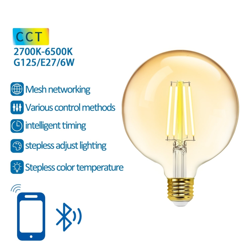 Ampoule à intensité variable LED FILAMENT MESH Smart G125 E27/6W/230V 2700-6500K - Aigostar