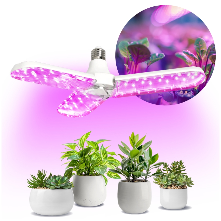 Ampoule LED pour la croissance des plantes PLANTY E27/24W/230V 1200K