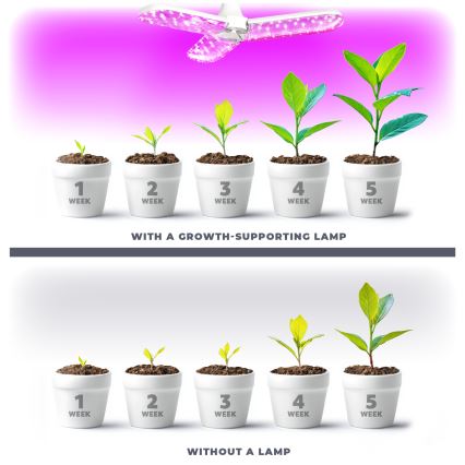 Ampoule LED pour la croissance des plantes PLANTY E27/24W/230V 1200K