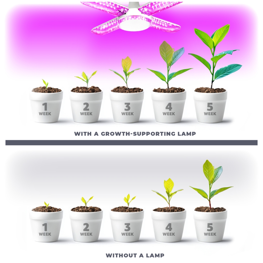 Ampoule LED pour la croissance des plantes PLANTY E27/40W/230V 1200K