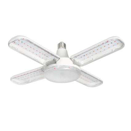 Ampoule LED pour la croissance des plantes PLANTY E27/40W/230V 1200K