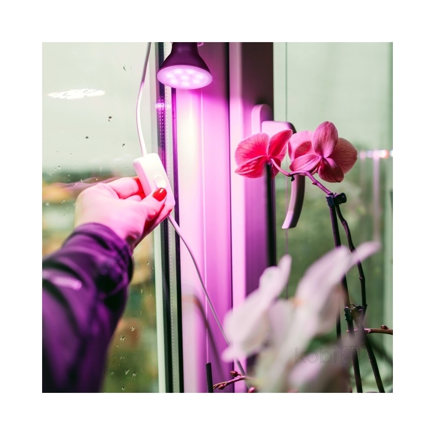 Ampoule LED pour la croissance des plantes PLANTY E27/7W/230V 1200K noir