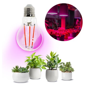 Ampoule LED pour la croissance des plantes PLANTY E27/8W/230V 1200K