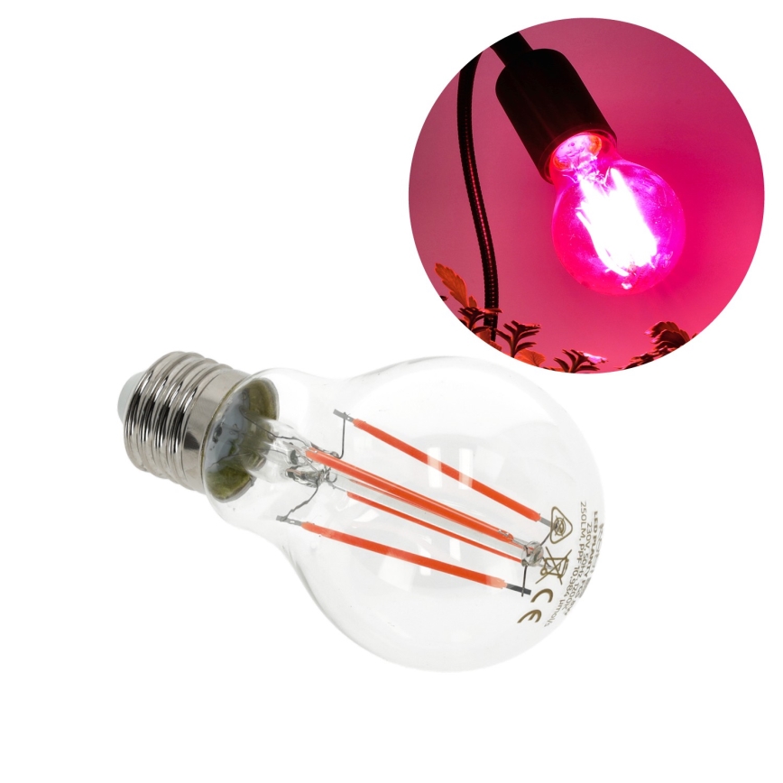Ampoule LED pour la croissance des plantes PLANTY E27/8W/230V 1200K