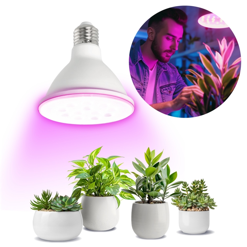 Ampoule LED pour la croissance des plantes PLANTY E27/9W/230V 1200K blanc