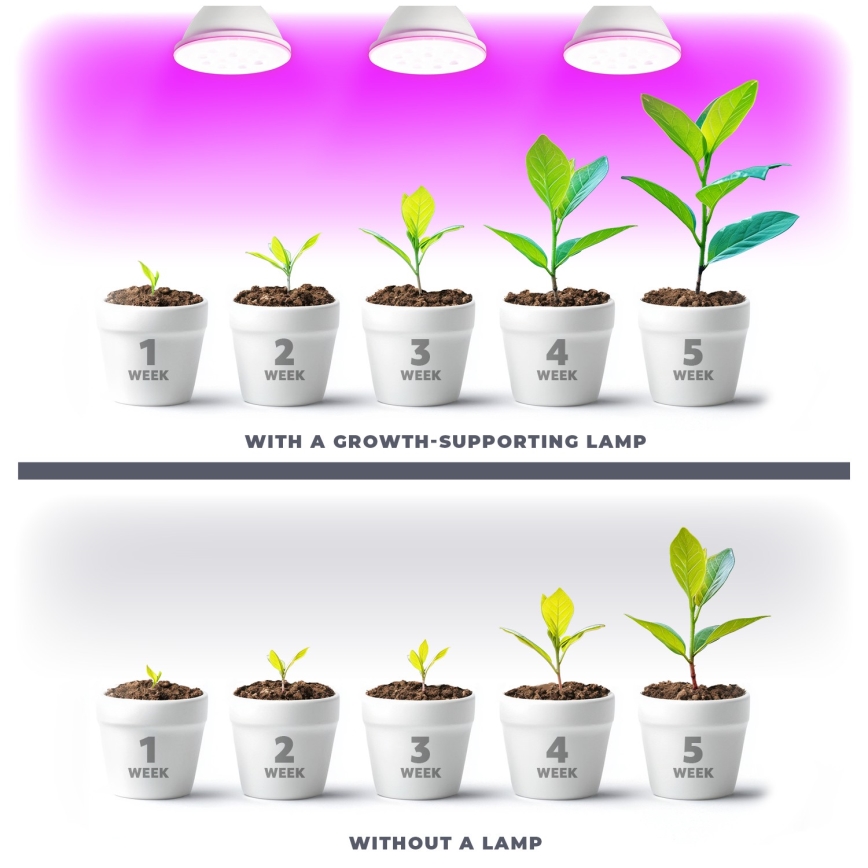 Ampoule LED pour la croissance des plantes PLANTY E27/9W/230V 1200K blanc