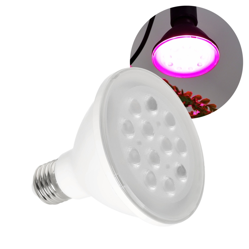 Ampoule LED pour la croissance des plantes PLANTY E27/9W/230V 1200K blanc