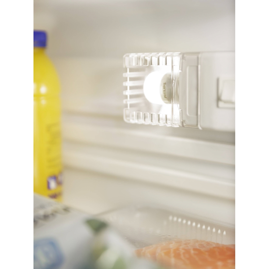 Ampoule LED pour réfrigérateur Philips E14/3,2W/230V