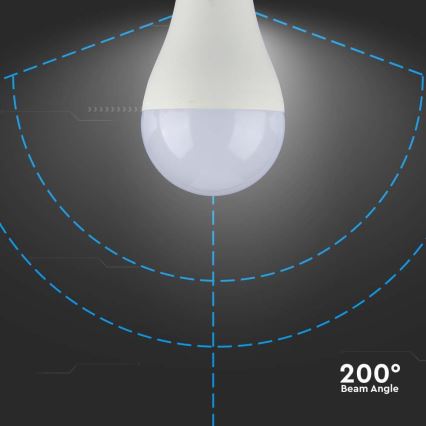 Ampoule LED SAMSUNG CHIP A65 E27/17W/230V 6500K