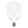 Ampoule LED T100 E27/30W/230V 3000K