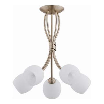 Anbauleuchte BUENA 5xE14/10W/230V golden