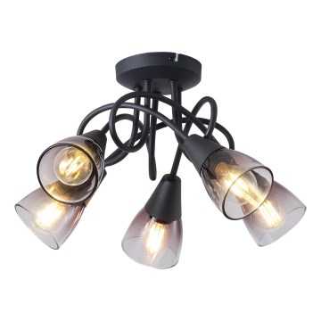Anbauleuchte CLASSY 5xE14/7W/230V
