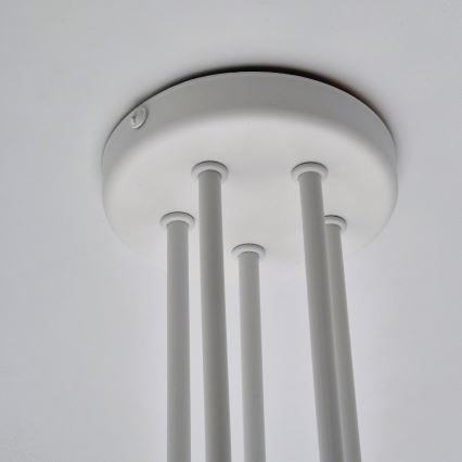 Anbauleuchte MATYLDA 5xE27/60W/230V weiß