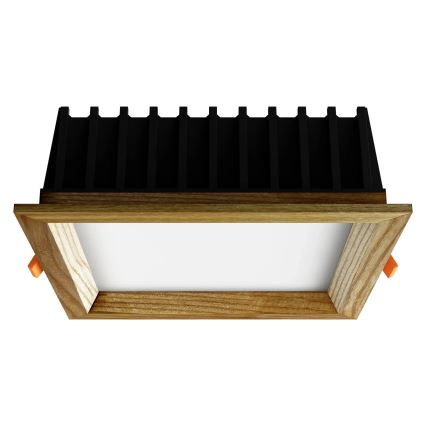 APLED - Lampada LED da incasso SQUARE WOODLINE LED/12W/230V 3000K 17x17 cm cenere legno solido