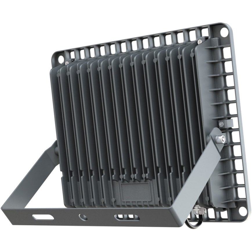APLED - Riflettore LED da esterno PRO LED/100W/230V IP66 10000lm 6000K