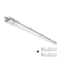 Apparecchio tecnico LED per tubi T8 2xG13/18W/230V 5000K IP65 127 cm