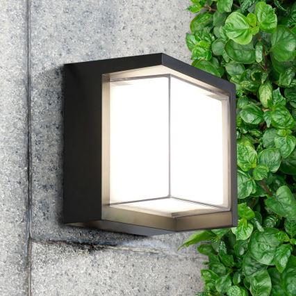 Applique a LED da esterno ESSEN LED/12W/230V IP44 nero