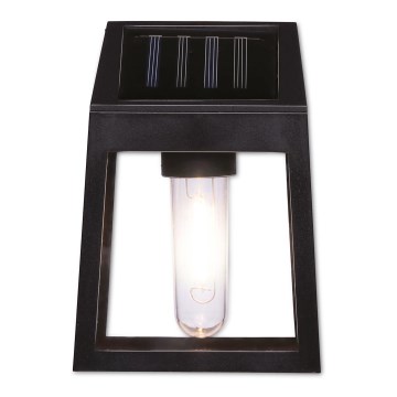 Applique a LED solare LED/1,2V