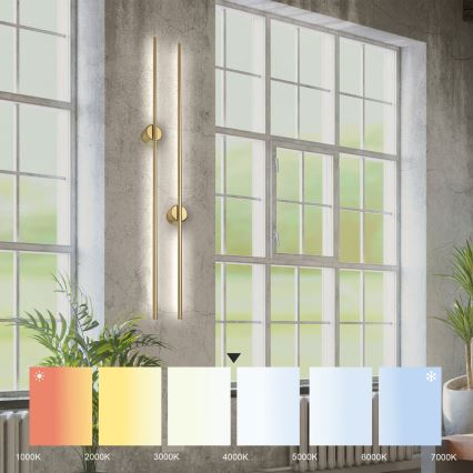 Applique a parete LANA LED/12W/230V 4000K oro opaco