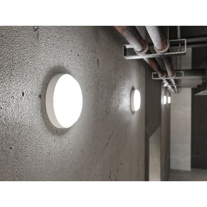 Applique da esterno a LED 9W/230V IP54, bianca