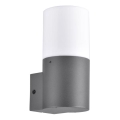 Applique da esterno DALLAS 1xE27/12W/230V IP44 antracite