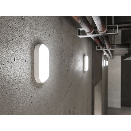 Applique da esterno LED/6W/230V IP54, bianco