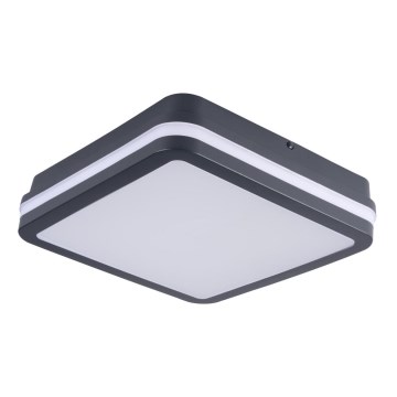 Applique LED da esterno BENO LED/18W/230V 4000K antracite IP54