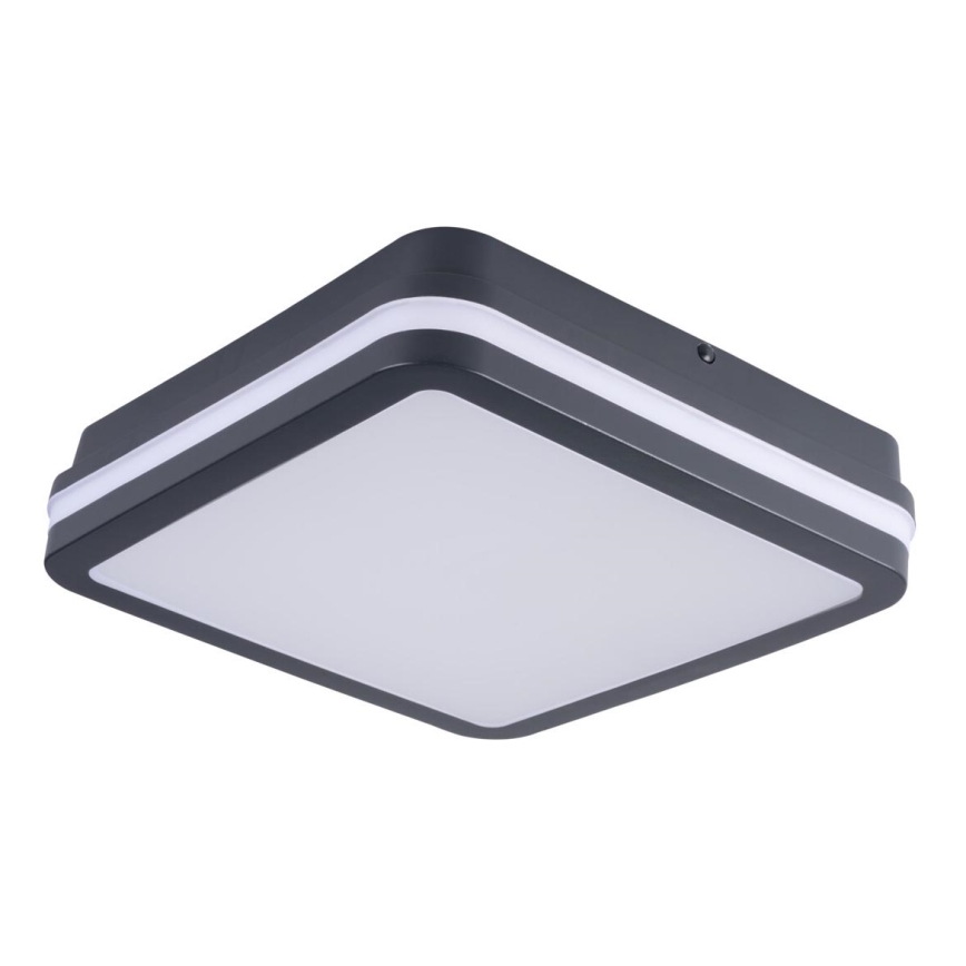 Applique LED da esterno BENO LED/18W/230V 4000K antracite IP54