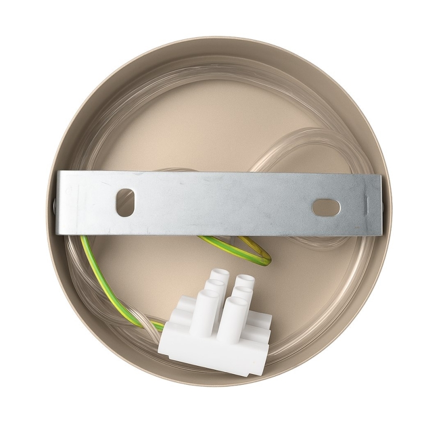 Applique murale CAPITAL 1xGX53/15W/230V taupe