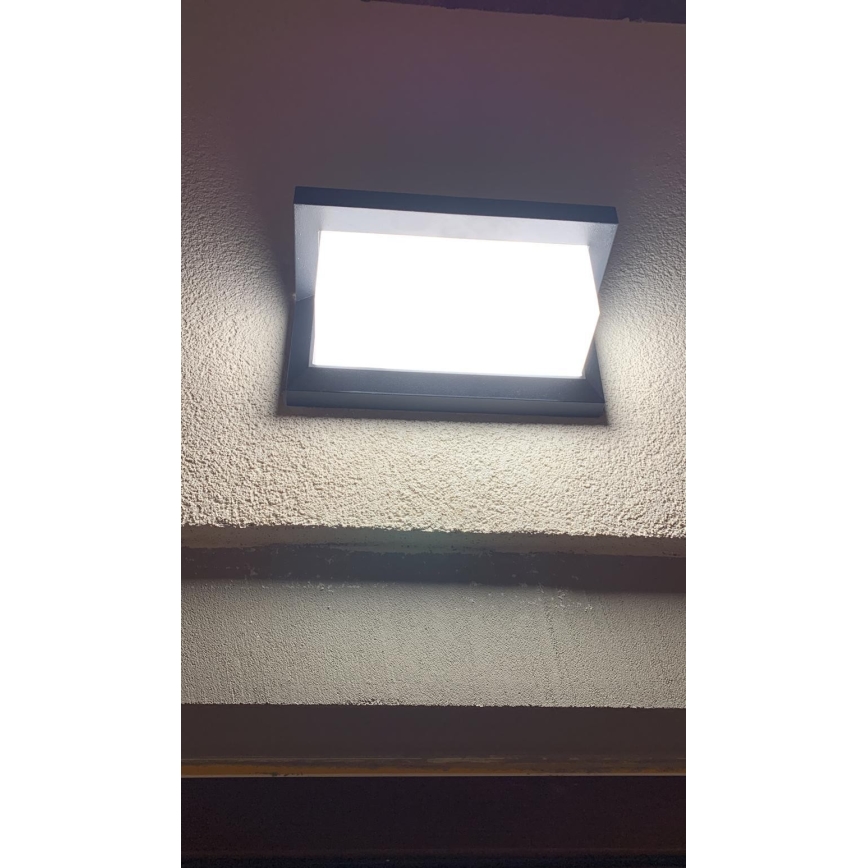 Applique murale d'extérieur avec détecteur LED/12W/230V IP54 noir