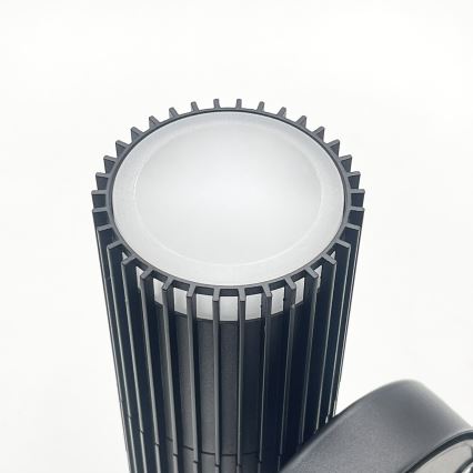 Applique murale d'extérieur LANTHEA 1xGU10/11W/230V IP44 noire