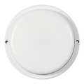 Applique murale d'extérieur LED 18 W, 230 V, IP54, blanche