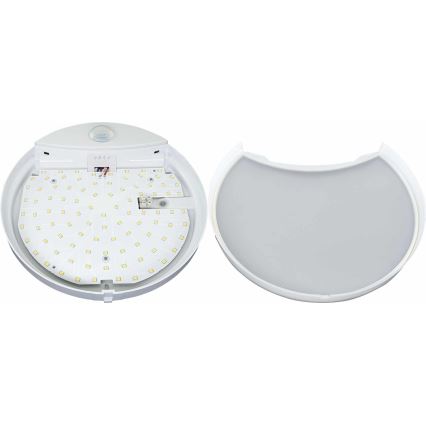 Applique murale extérieur avec détecteur HIBIS LED/15W/230V IP44