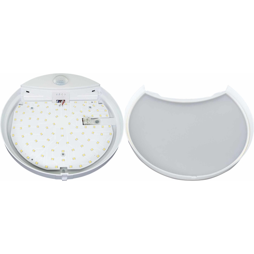 Applique murale extérieur avec détecteur HIBIS LED/15W/230V IP44